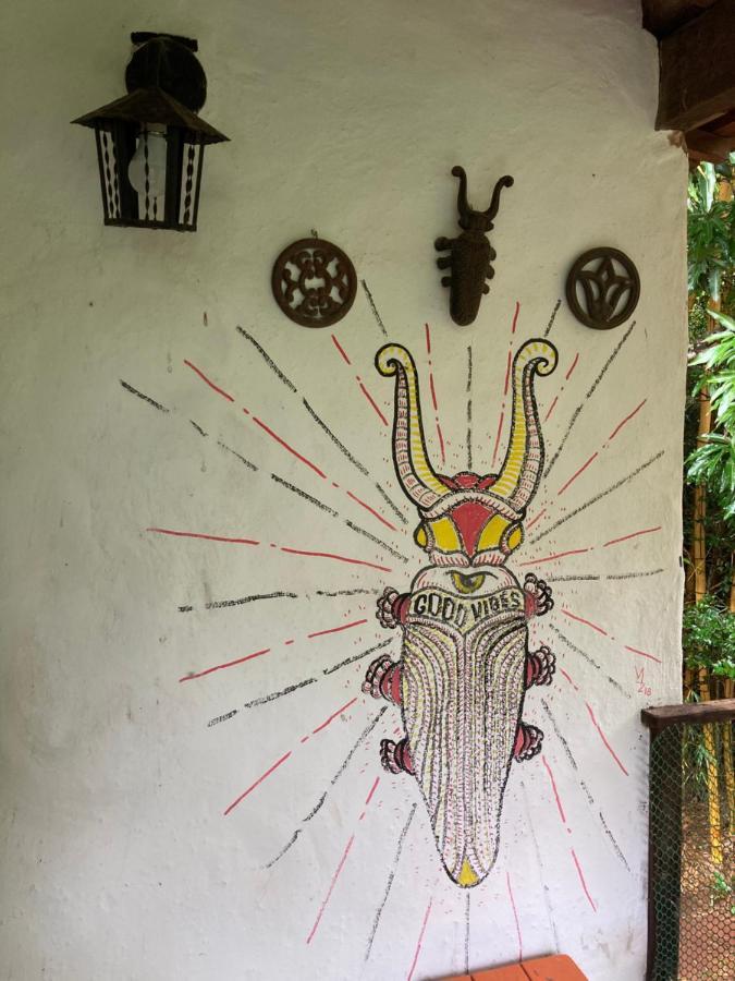 הוילה Alto Paraíso de Goiás Sitio Macaubas Do Moinho מראה חיצוני תמונה